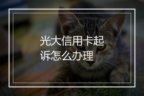 光大信用卡起诉怎么办理