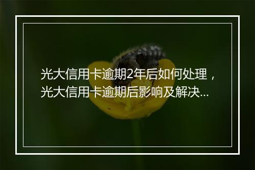 光大信用卡逾期2年后如何处理，光大信用卡逾期后影响及解决方案