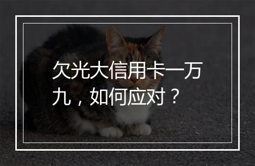 欠光大信用卡一万九，如何应对？