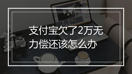 支付宝欠了2万无力偿还该怎么办