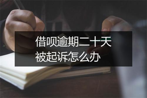 借呗逾期二十天被起诉怎么办