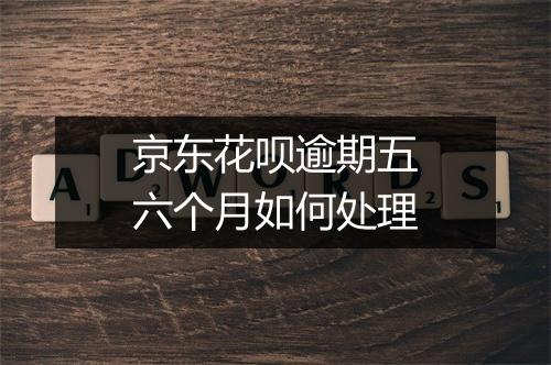 京东花呗逾期五六个月如何处理