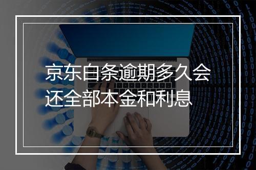京东白条逾期多久会还全部本金和利息