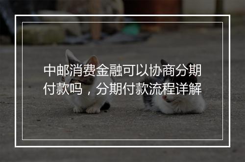 中邮消费金融可以协商分期付款吗，分期付款流程详解