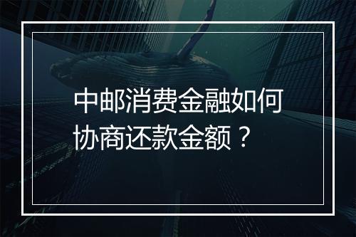 中邮消费金融如何协商还款金额？