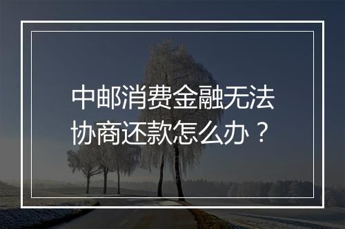 中邮消费金融无法协商还款怎么办？