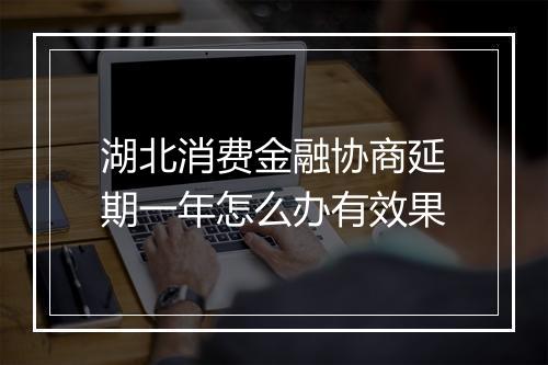 湖北消费金融协商延期一年怎么办有效果