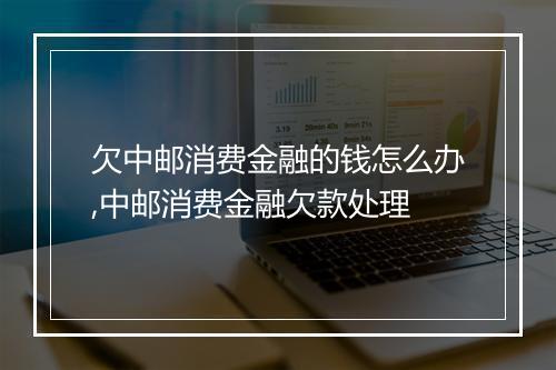 欠中邮消费金融的钱怎么办,中邮消费金融欠款处理