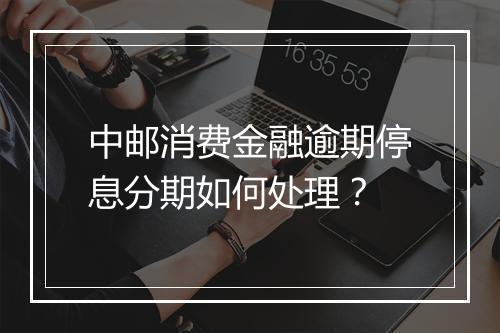 中邮消费金融逾期停息分期如何处理？