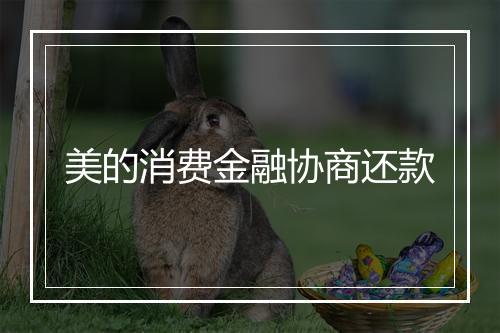 美的消费金融协商还款