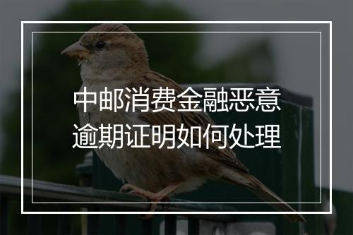中邮消费金融恶意逾期证明如何处理