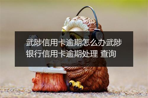 武陟信用卡逾期怎么办武陟银行信用卡逾期处理 查询