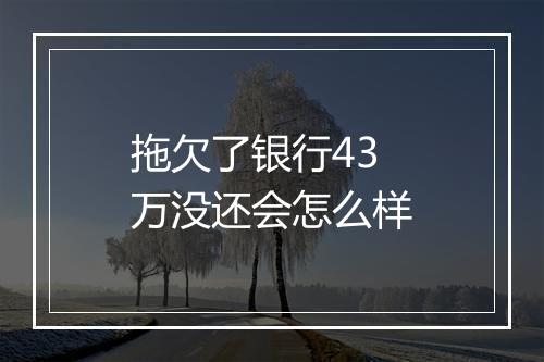 拖欠了银行43万没还会怎么样