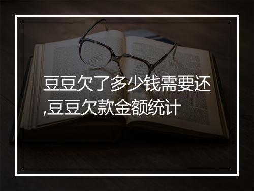 豆豆欠了多少钱需要还,豆豆欠款金额统计