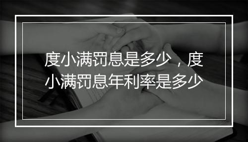 度小满罚息是多少，度小满罚息年利率是多少