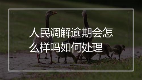 人民调解逾期会怎么样吗如何处理