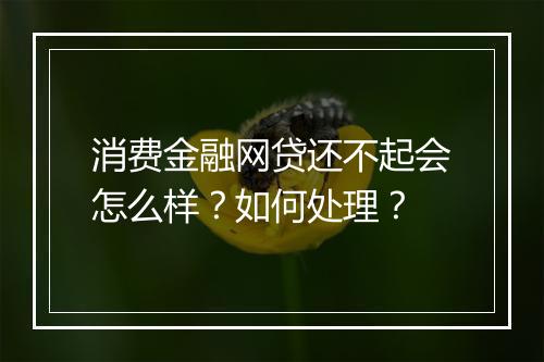消费金融网贷还不起会怎么样？如何处理？