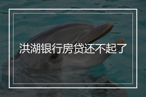 洪湖银行房贷还不起了