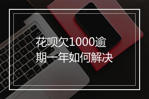 花呗欠1000逾期一年如何解决