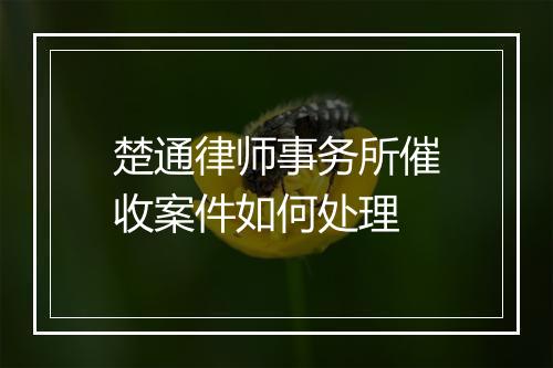 楚通律师事务所催收案件如何处理