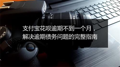 支付宝花呗逾期不到一个月，解决逾期债务问题的完整指南