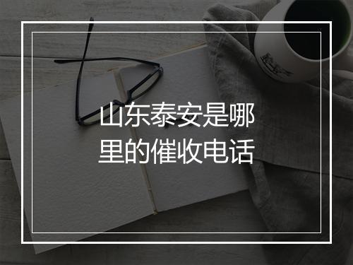 山东泰安是哪里的催收电话