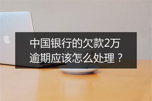 中国银行的欠款2万逾期应该怎么处理？