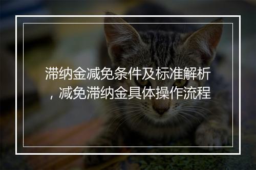 滞纳金减免条件及标准解析，减免滞纳金具体操作流程