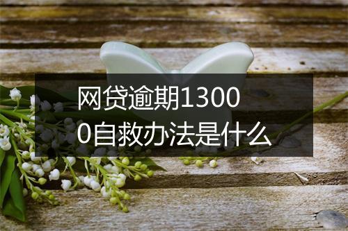 网贷逾期13000自救办法是什么