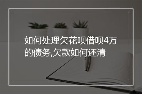 如何处理欠花呗借呗4万的债务,欠款如何还清