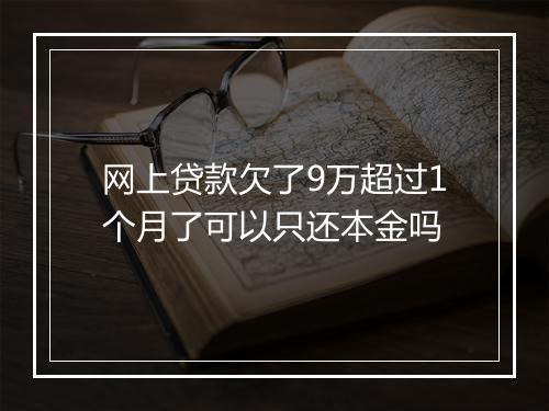 网上贷款欠了9万超过1个月了可以只还本金吗