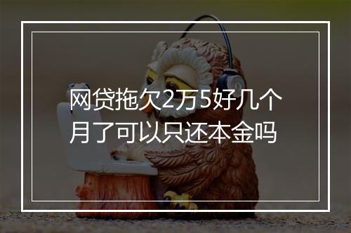 网贷拖欠2万5好几个月了可以只还本金吗