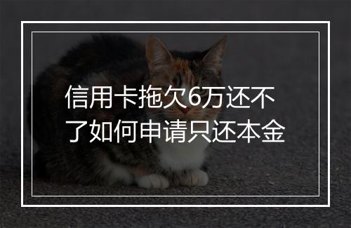 信用卡拖欠6万还不了如何申请只还本金