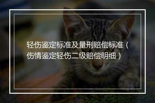 轻伤鉴定标准及量刑赔偿标准（伤情鉴定轻伤二级赔偿明细）