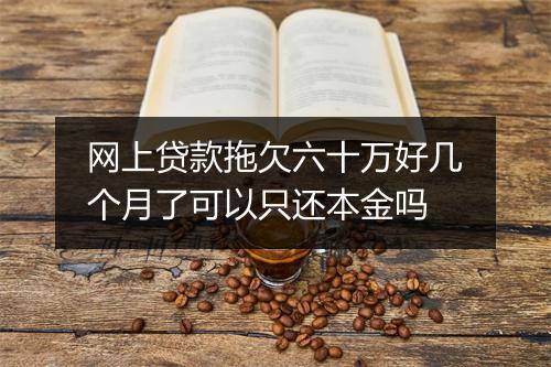 网上贷款拖欠六十万好几个月了可以只还本金吗