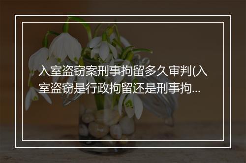入室盗窃案刑事拘留多久审判(入室盗窃是行政拘留还是刑事拘留)