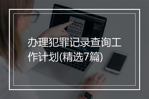 办理犯罪记录查询工作计划(精选7篇)