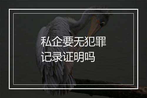 私企要无犯罪记录证明吗