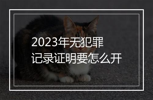 2023年无犯罪记录证明要怎么开