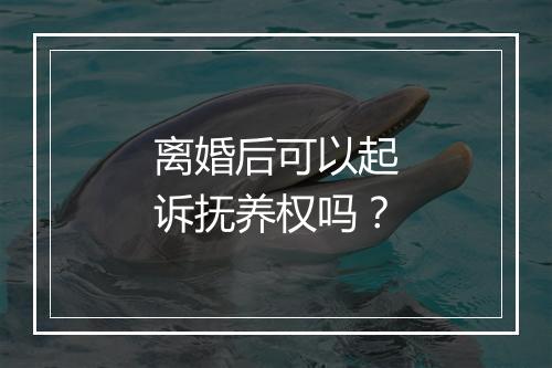 离婚后可以起诉抚养权吗？
