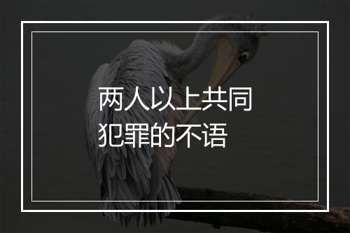 两人以上共同犯罪的不语
