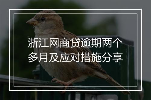 浙江网商贷逾期两个多月及应对措施分享