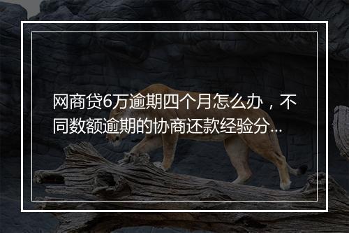 网商贷6万逾期四个月怎么办，不同数额逾期的协商还款经验分享