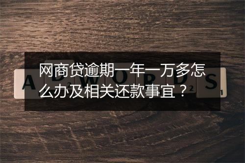 网商贷逾期一年一万多怎么办及相关还款事宜？