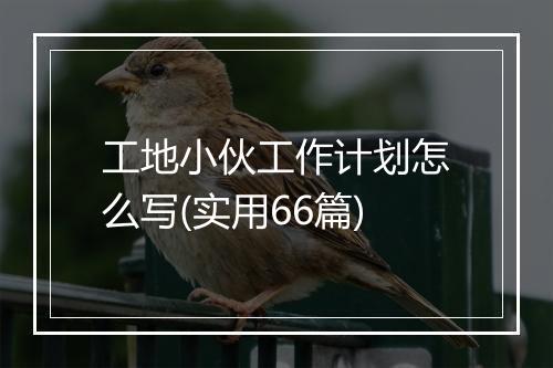 工地小伙工作计划怎么写(实用66篇)