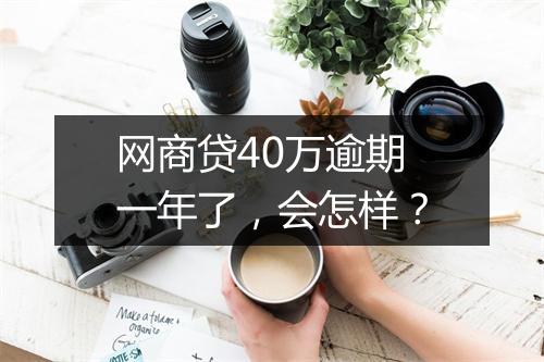 网商贷40万逾期一年了，会怎样？