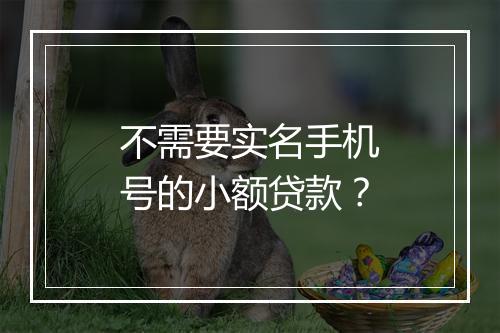 不需要实名手机号的小额贷款？