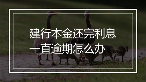 建行本金还完利息一直逾期怎么办