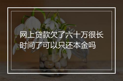 网上贷款欠了六十万很长时间了可以只还本金吗