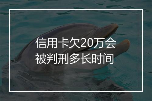 信用卡欠20万会被判刑多长时间
